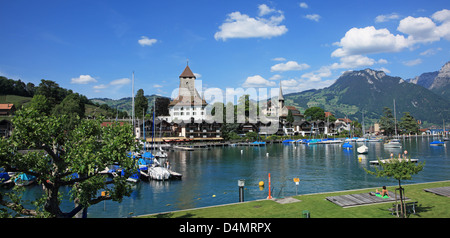 Schweiz, Kanton Bern, Spiez am Thunersee See Stockfoto