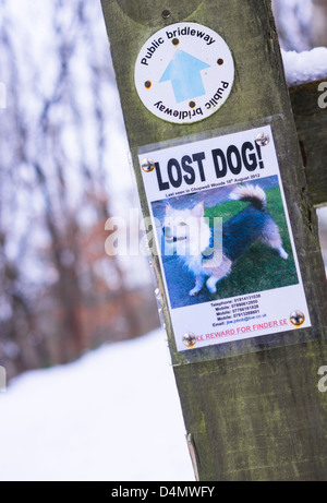 Einen verlorenen Hund Plakat an einen Zaun auf Waldspaziergang. Stockfoto