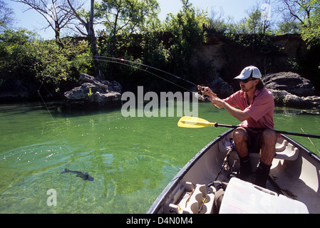 Fischer fangen ein Channel Catfish (Ictalurus Punctatus) auf dem Blanco-Fluss in der Nähe von San Marcos, Texas Stockfoto