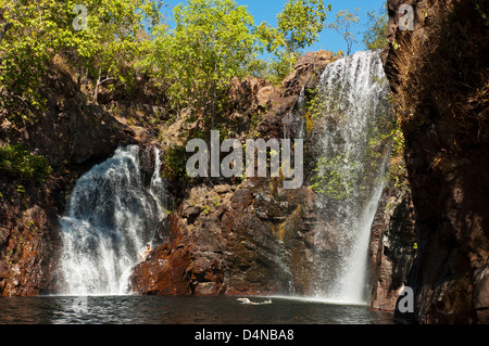 Florence Falls, Litchfield Nationalpark, Northern Territory, Australien Stockfoto