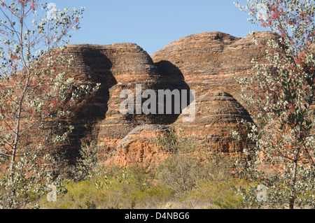 Purnululu - die Bungle Bungles, die Kimberley Region, Western Australia, Australien Stockfoto