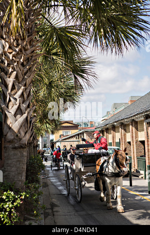 Pferdekutsche übergibt der historischen Charleston City Market an der Market Street in Charleston, SC. Stockfoto