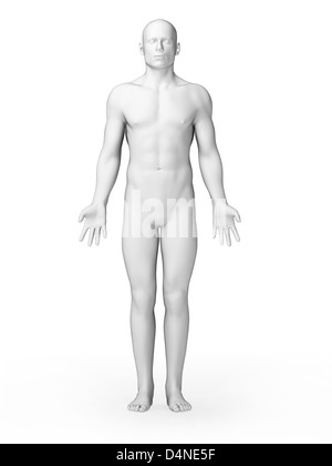 Weißen männlichen Körper Stockfoto