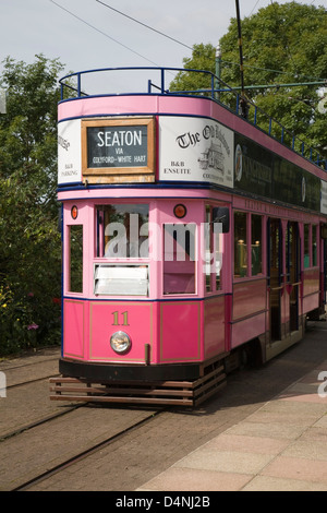 Eine rosa Schmalspur-Straßenbahn in Colyton in Devon, England. Stockfoto