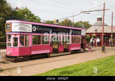 Eine rosa Straßenbahn Seaton Straßenbahn Haltestelle in Devon, England, UK. Stockfoto