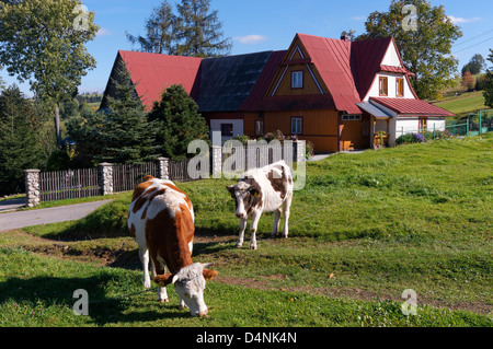 Traditionell gebaut Holzhaus am Zab in der Nähe von Zakopane, Kleinpolen, Polen. Goral Stil. Stockfoto