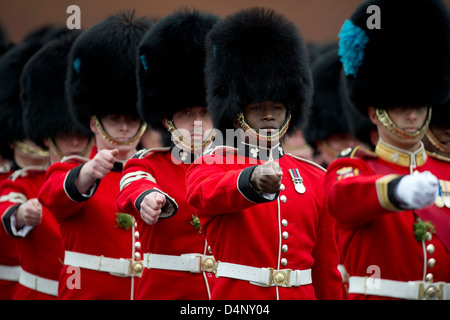 Irish Guards in der britischen Armee auf der Parade in Aldershot 17.03.13 Stockfoto