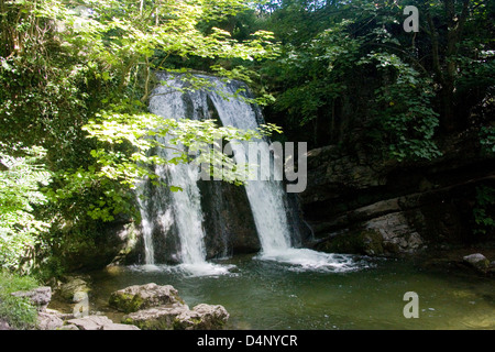 Janets Foss an der Gordale Beck, Yorkshire Dales National Park, England Stockfoto