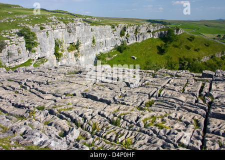 Kalkstein Pflaster über Malham Cove, Yorkshire Dales National Park, England Stockfoto