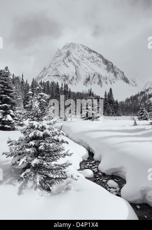 Winter Szene in den kanadischen Rockies. Stockfoto
