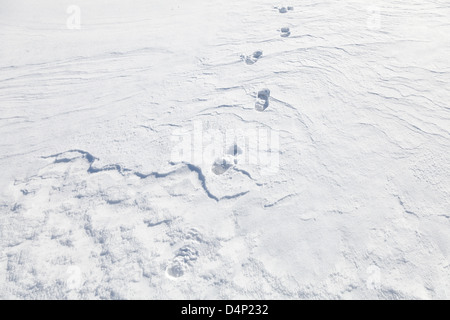 Nähert Man Fußabdrücke in der Schneewehe Stockfoto