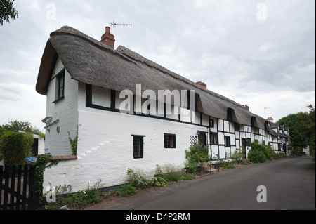 In der Regel gepflegte britische Häuser Stroh terrassenförmig angelegten Bungalows mit Tünche gerendert Mauern zwischen Eichenrahmen gedeckt Stockfoto