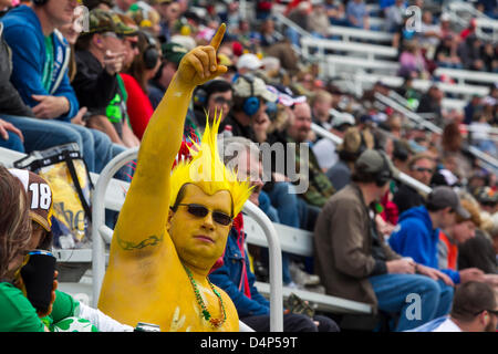 17. März 2013 - Bristol, TN, USA - BRISTOL, TN - 17. März 2013: ein Fan Uhren Food City 500 in Bristol, TN. Stockfoto