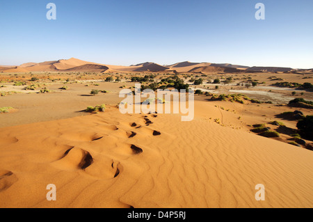 Ansicht der Namib-Wüste von der Spitze des "Big Mama" Dune - Namib-Naukluft-Nationalpark, Namibia Stockfoto