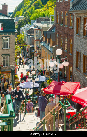 Zeigen Sie an, Rue du Petit Champlain, Altstadt von Quebec, Quebec Stadt, Quebec, Kanada Stockfoto