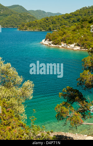 See Veliko, Mljet Nationalpark Mljet, Kroatien Stockfoto