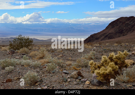 Pass auf Tageslicht Weg, Death Valley National Park, California Stockfoto