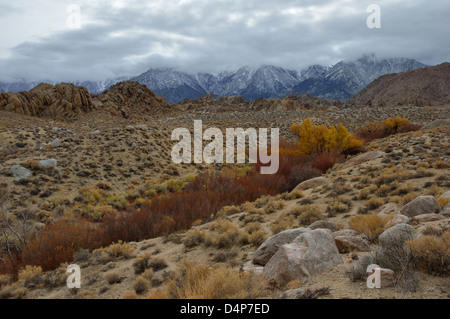 Blick auf die Alabama Hills entlang Whitney Portal Road in der Nähe von Lone Pine, California. Die Berge der Sierra sind in der Ferne. Stockfoto