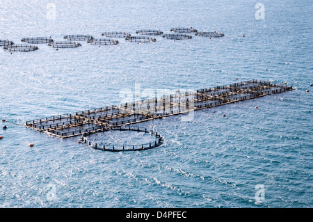 Cephalonia (Kefalonia), Griechenland: Fischzucht in den Golf von Argostoli Stockfoto