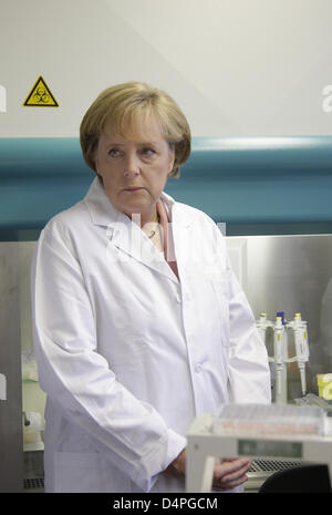 Bundeskanzlerin Angela Merkel kommt in einem Labor während eines Besuchs in der wissenschaftlichen Robert Koch-Institut in Berlin, Deutschland 23. Juni 2009. Foto: TOBIAS SCHWARZ Stockfoto