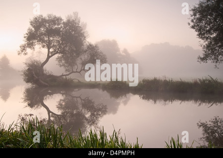 Landschaftsblick über foggy River bei Sonnenaufgang Stockfoto