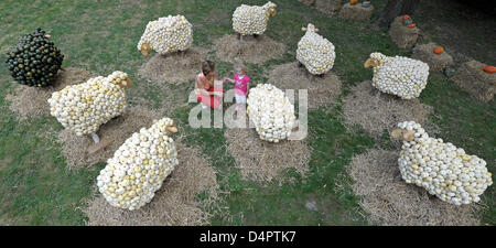 Drei-jährige Alina und ihrer Mutter Manuela anzeigen Skulpturen von Schafen bestehend aus verschiedenen Arten von Kürbissen während ein Kürbis-Skulpturen-Ausstellung im Holiday Park in Hassloch, Deutschland, 1. September 2009. Der Themenpark inszeniert eine Ausstellung von Kürbis Skulpturen vom 01 September bis 1. November 2009. Fünfzig Tonnen 80 Kürbis Sorten dienten. Foto: RONLAD WITTEK Stockfoto