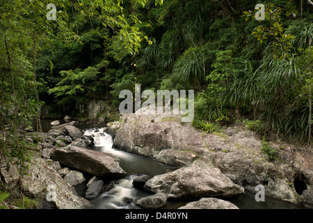 Crystal Cascades, Redlynch Tal, Cairns, North Queensland, Australien Stockfoto