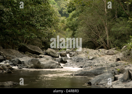 Crystal Cascades, Redlynch Tal, Cairns, North Queensland, Australien Stockfoto