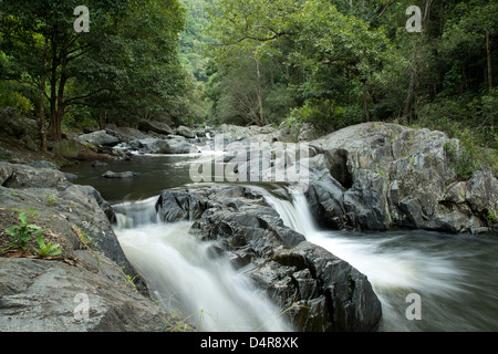 Crystal Cascades, Redlynch Tal, Cairns, North Queensland, Australien Stockfoto