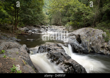 Crystal Cascades, Redlynch Tal, Cairns, North Queensland, Australien Stockfoto