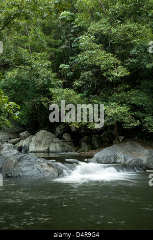 Crystal Cascades, Redlynch Tal, Cairns, North Queensland, Australien Stockfoto