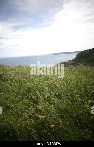 Die Neufundland Küste gesehen vom SIgnal Hill St. john's, Neufundland. Die kanadische Presse Bilder/Lee Brown Stockfoto