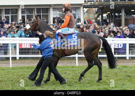 15.03.2013 - Cheltenham; Langfristig, geritten von Sam Waley-Cohen während der Parade für den Betfred Cheltenham Gold Cup Chase Grade 1. Bildnachweis: Lajos-Eric Balogh/turfstock.com Stockfoto