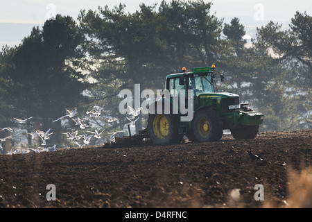 Frühling bei Feldern mit Blick auf Lunan Bay pflügen. Montrose. East Coast Schottland, Vereinigtes Königreich Stockfoto