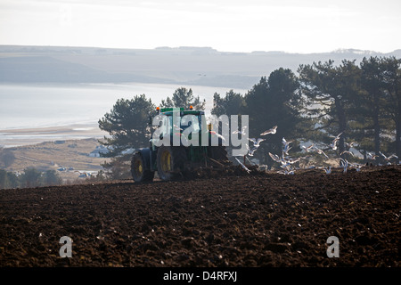 Frühling bei Feldern mit Blick auf Lunan Bay pflügen. Montrose. East Coast Schottland, Vereinigtes Königreich Stockfoto