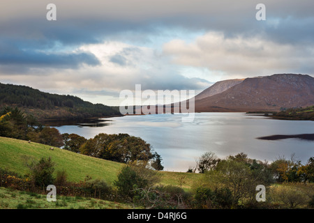 Am frühen Morgen im Herbst auf der Nord-westlichen Arm des Lough Corrib, in der Nähe von Doon Felsen, Co. Galway, Irland Stockfoto