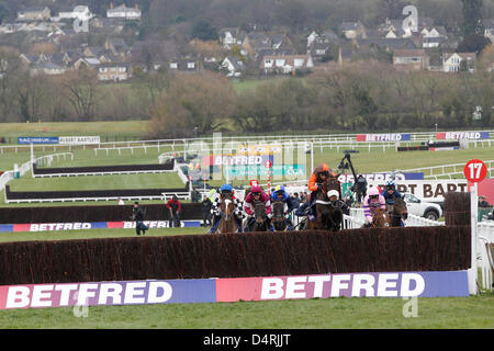 15.03.2013 - Cheltenham; Langfristig, geritten von Sam Waley-Cohen führt das Feld über den Zaun am Betfred Cheltenham Gold Cup Chase Grade 1. Bildnachweis: Lajos-Eric Balogh/turfstock.com Stockfoto