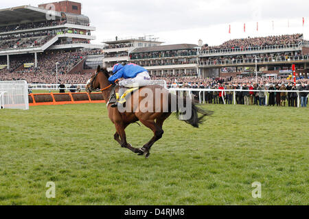 14.03.2013 - Cheltenham; Cue Card, geritten von Joe Tizzard gewinnt die Ryanair Chase (registriert als The Festival Trophy Steeple Chase) Klasse 1. Bildnachweis: Lajos-Eric Balogh/turfstock.com Stockfoto