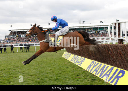 14.03.2013 - Cheltenham; Vue Karte, geritten von Joe Tizzard gewinnt die Ryanair Chase (registriert als The Festival Trophy Steeple Chase) Klasse 1. Bildnachweis: Lajos-Eric Balogh/turfstock.com Stockfoto