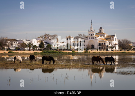 Kirche von El Rocío, Almonte, Huelva, Spanien, Pferde weiden Stockfoto