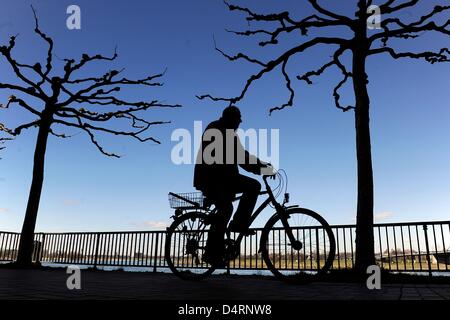 Ein Mann wechselt zwischen Bäumen an den Ufern des Rheins in Düsseldorf, Deutschland, 18. März 2013. Foto: Marius Becker Stockfoto