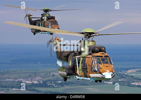 Paar von Eurocopter AS-532 AL Cougar Hubschrauber während des Fluges über Bulgarien. Stockfoto