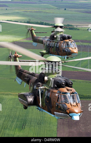 Paar von Eurocopter AS-532 AL Cougar Hubschrauber während des Fluges über Bulgarien. Stockfoto