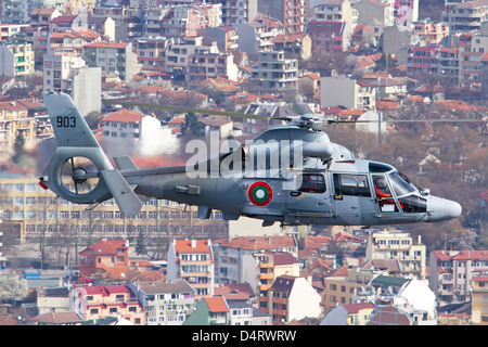 Bulgarische Marine Eurocopter AS 565MB Panther fliegt über die Stadt von Varna, Bulgarien. Stockfoto