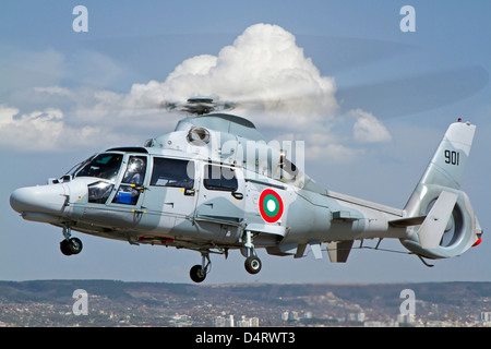 Eurocopter AS 565MB Panther der bulgarischen Marine bereitet für die Landung in Varna, Bulgarien. Stockfoto