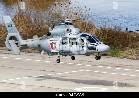 Eurocopter AS 565MB Panther der bulgarischen Marine bereitet auf eine Start-und Landebahn in Varna, Bulgarien zu landen. Stockfoto