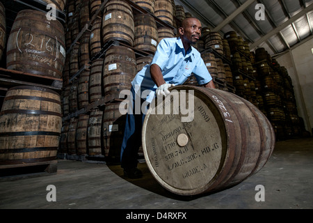 Eine Brennerei Arbeitskraft verschieben von Holzfässern in der Mount Gay rum Destillerie in St Lucy Parish, Barbados, Karibik Stockfoto