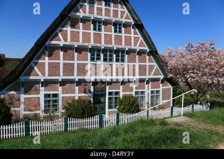 Altes Land, gerahmt traditioneller Bauernhaus am Deich der Este in Jork / Koenigreich, Niedersachsen, Deutschland Stockfoto