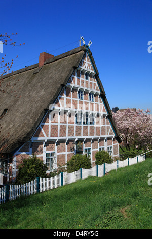 Altes Land, gerahmt Bauernhaus am Deich der Este in Jork / Koenigreich, Niedersachsen, Deutschland Stockfoto