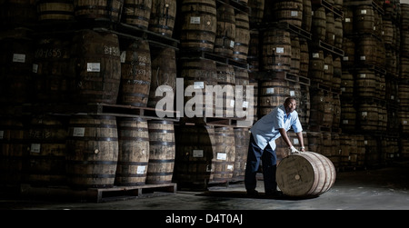 Eine Brennerei Arbeitskraft verschieben von Holzfässern in der Mount Gay rum Destillerie in St Lucy Parish, Barbados, Karibik Stockfoto